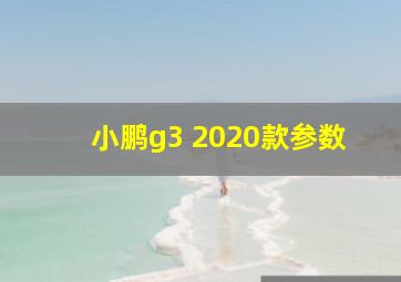 小鹏g3 2020款参数